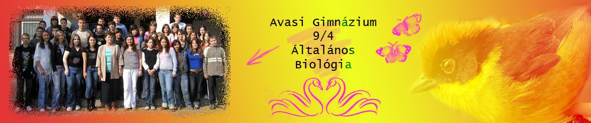 »-(¯`v¯)-» 10/4-ltalnos-biosz »-(¯`v¯)-»